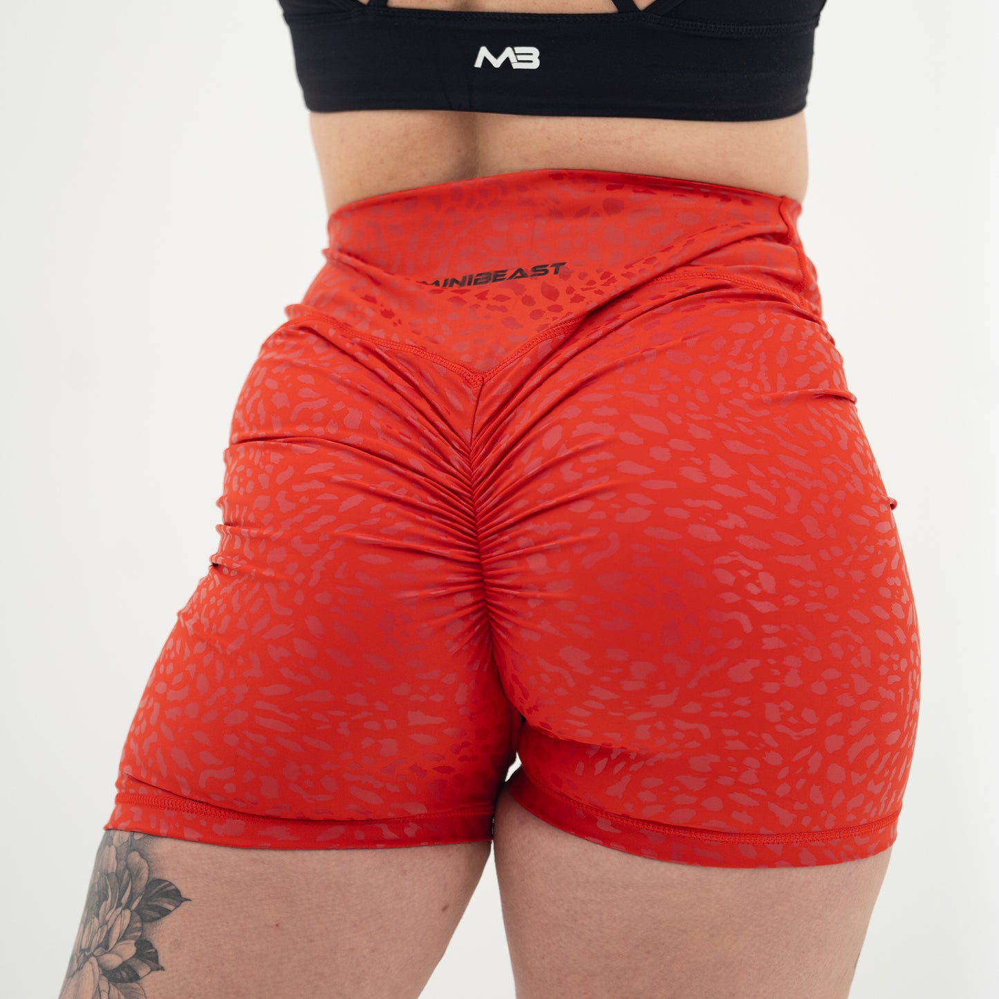 Curve Classic Shorts