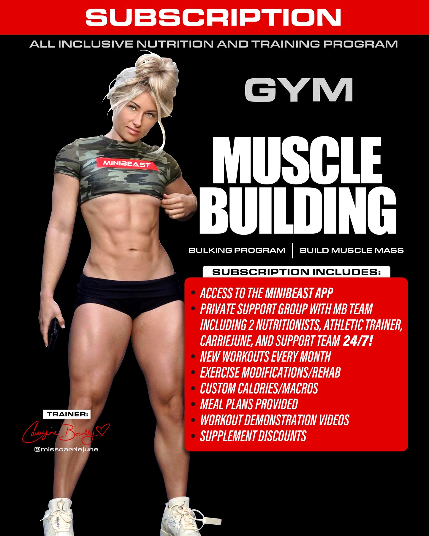 All Inclusive Muscle Building Program - Gym